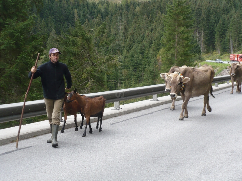 Images/1 Oesterreich_Zillertal_ (52).jpg